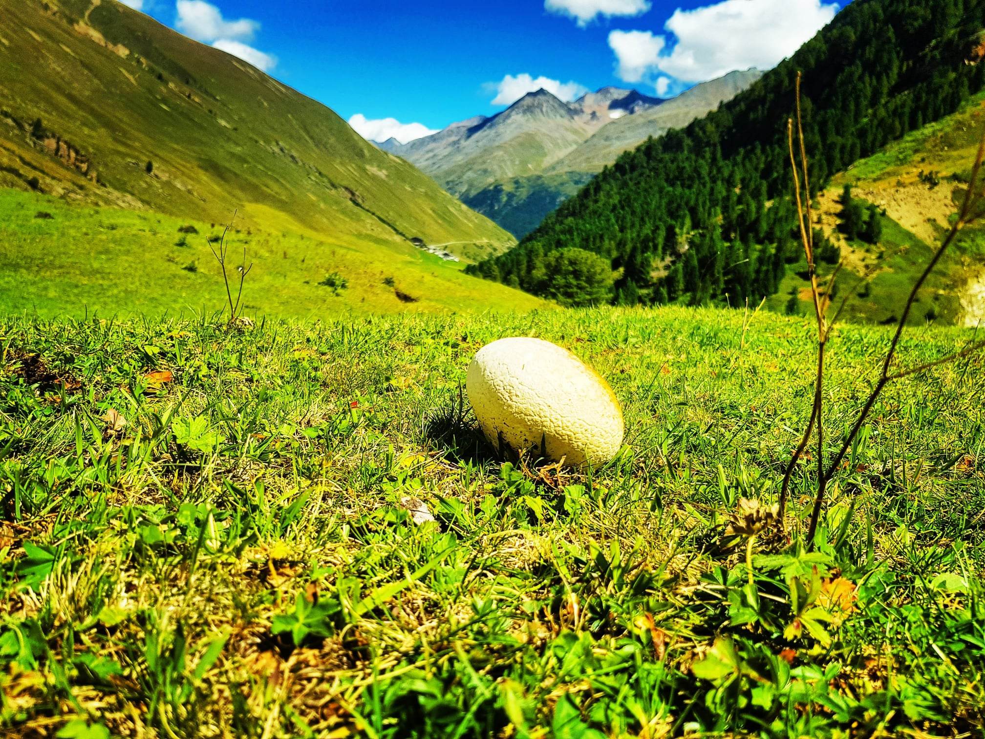 Venter Tal